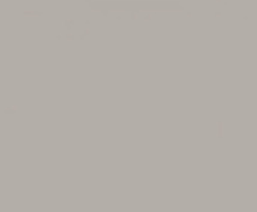 فون کاغذی برای عکاسی(NEUTRAL GREY04)